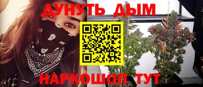 Альфа ПВП Дубна