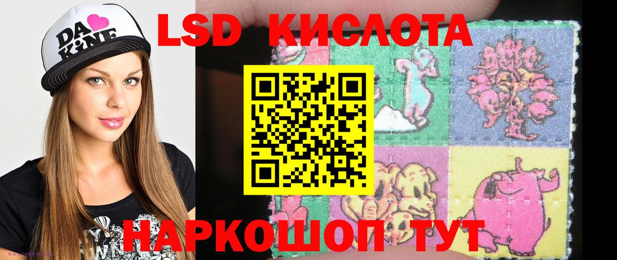 где купить наркоту  Наркотические марки 1,5мг  Марки 25I-NBOMe  Вход с VPN  Котовск 